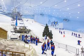 Ski Dubai Snow Premium Pass